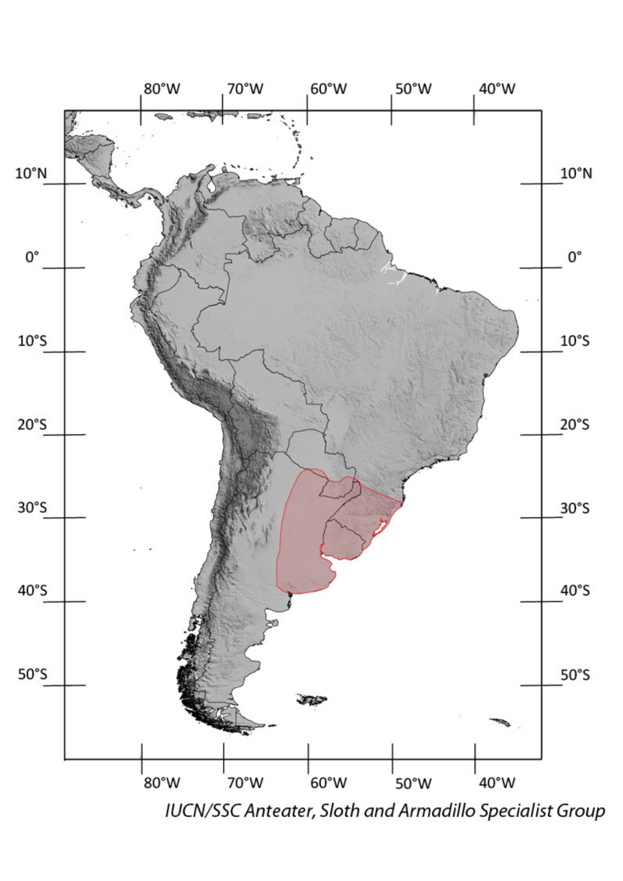 Southern Long Nosed Armadillo IUCN SSC Anteater Sloth And Armadillo