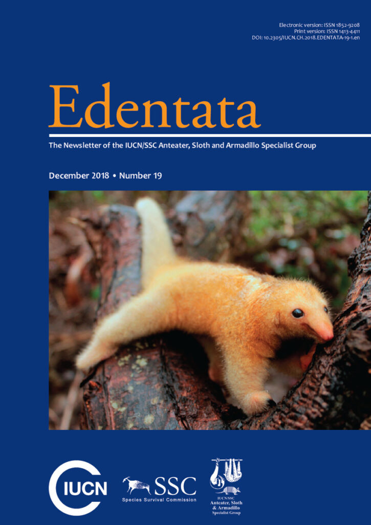 Cover of Edentata 19: silky anteater (Cyclopes didactylus). Photo: Karina Theodoro Molina, Instituto Tamanduá.