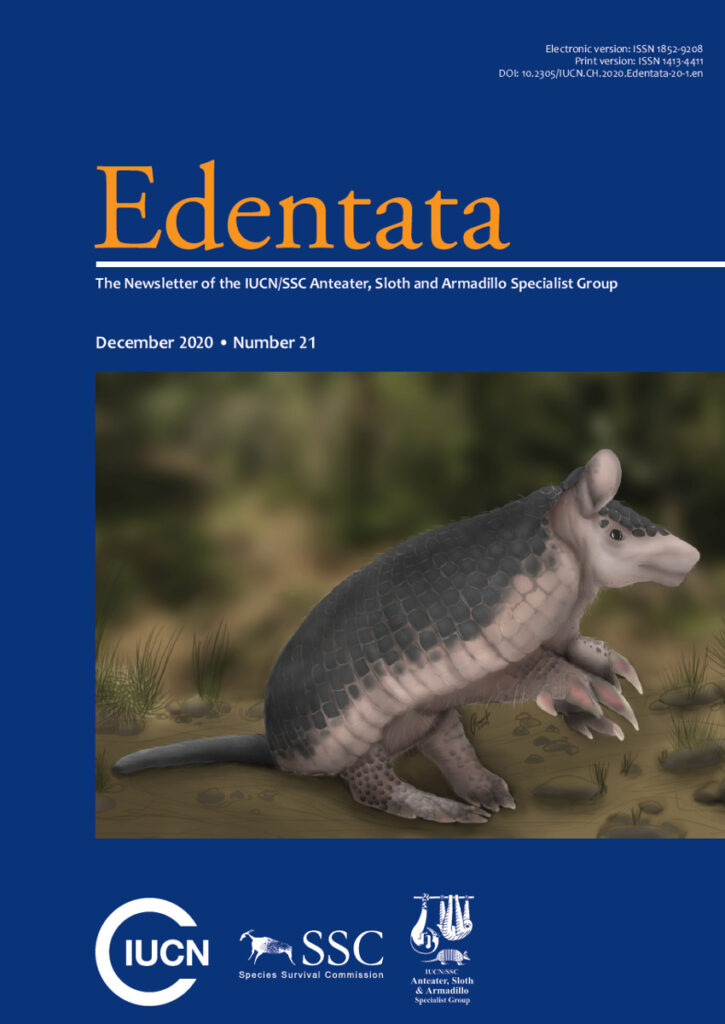 Cover of Edentata 21: Northern naked-tailed armadillo (Cabassous centralis). Illustration by Alberto Mejía-Paniagua.