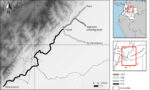 Map of study area showing four road segments located in the departments of Casanare, Meta, and Cundinamarca (Colombia). This study analyzed roadkill records of Myrmecophaga tridactyla and Tamandua tetradactyla.