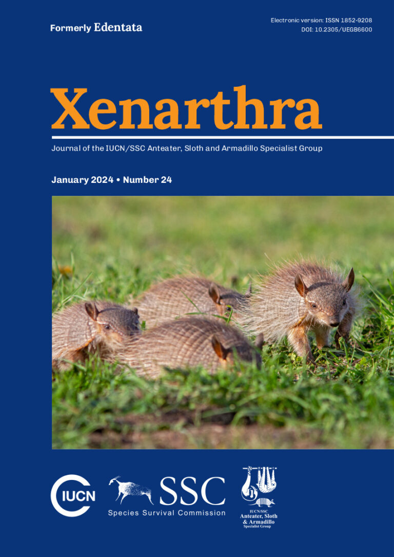 Cover of Xenarthra 24: group of male screaming hairy armadillos (Chaetophractus vellerosus) chasing after a female during reproductive season. Photo: Sebastián Preisz.