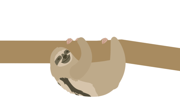 Pale-throated Three-ﬁngered Sloth Bradypus tridactylus