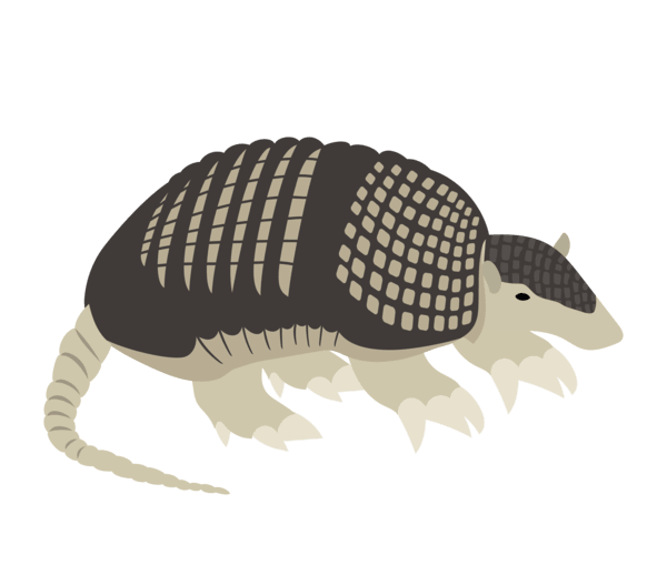 Armadillo gigante (Priodontes maximus)